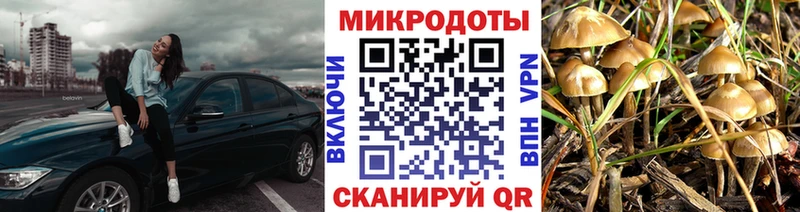 Псилоцибиновые грибы MAGIC MUSHROOMS  Купить  Шимановск 